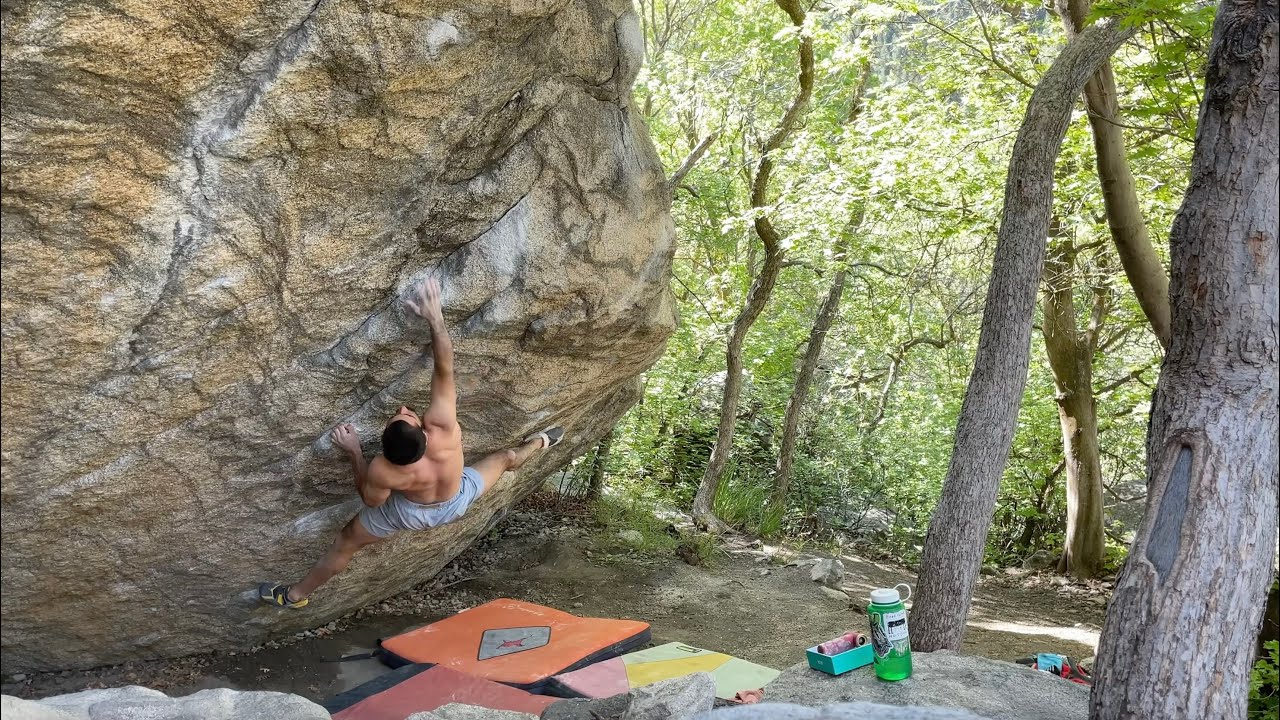 Tiger Stripe board sessions: Day 1