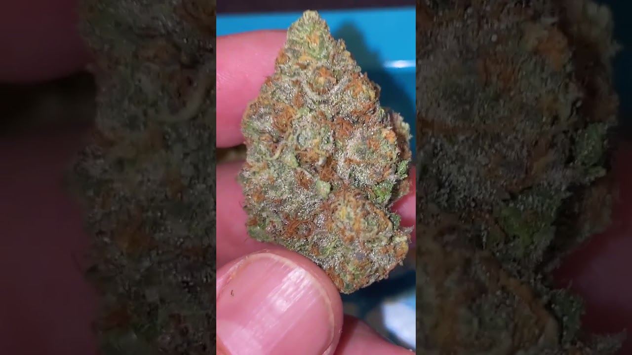 NEW FLAVOR ALERT OFF THE LEMONNADE MENU!!!