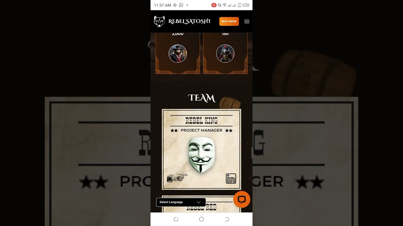 REBEL SATOSHI NFTS AND FAO