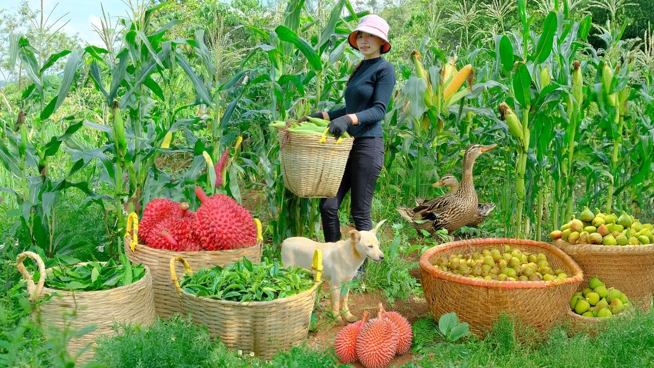 Harvest, Sell, Cook: Sweet Corn, Fig, Tea, Durian &ndash; Sow Seeds, Plant Trees, And Water Vegetables.