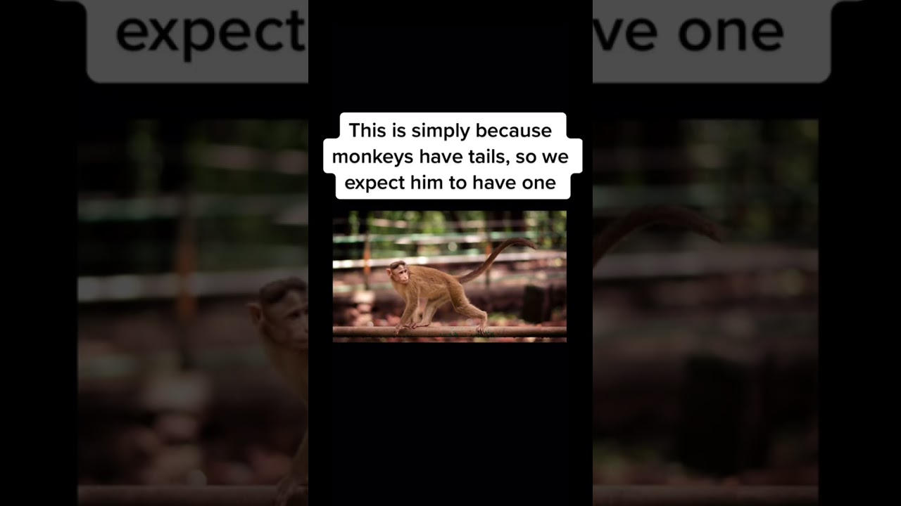 DEBUNKING the Curious George tail &ldquo;MANDELA EFFECT&rdquo; #shorts