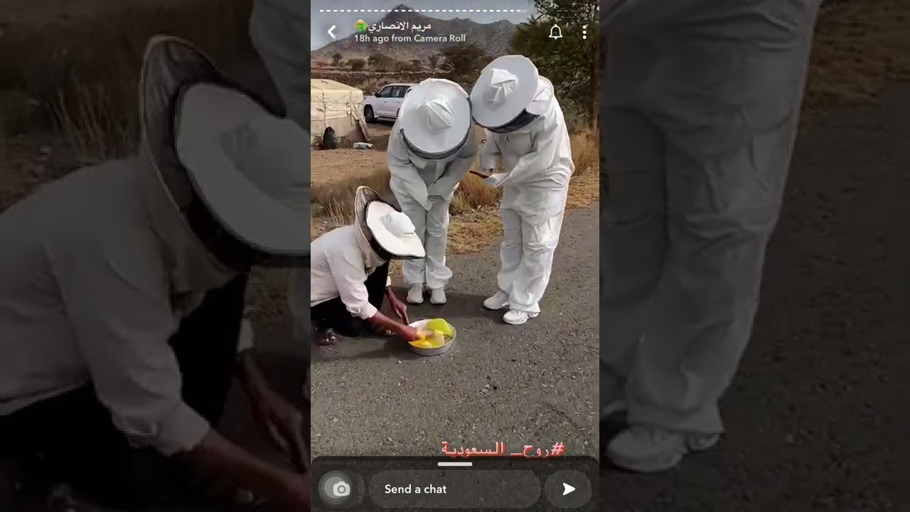 الأماكن الجميلة في أبها .. سنابات مريم الأنصاري