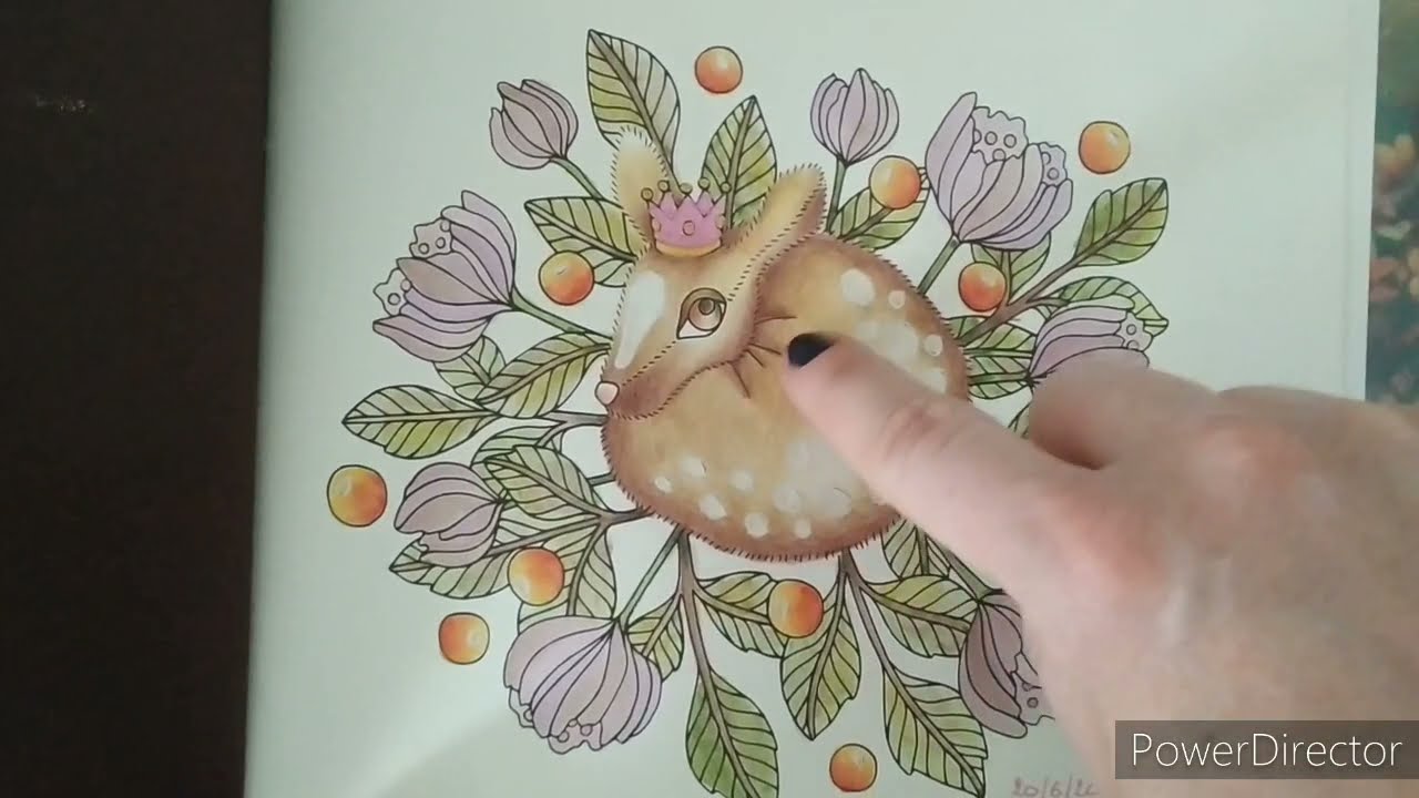 adult coloring - My finished pages in Emelie Lidehäll Öberg coloring books