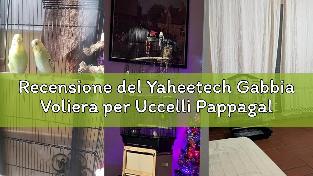 Recensione del Yaheetech Gabbia Voliera per Uccelli Pappagalli Inseparabili Calopsite Parrocchetti i