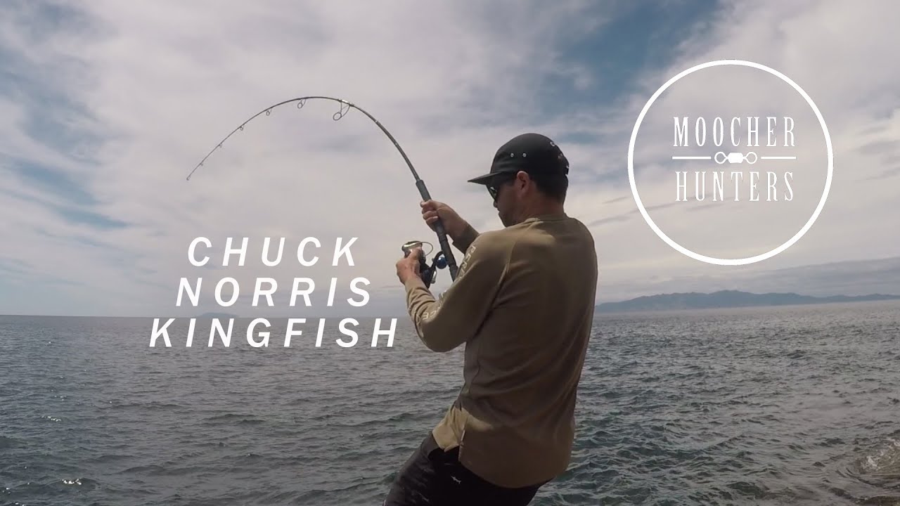 EPIC SCRAP OFF THE ROCKS | KINGFISH POWERHOUSE | MOOCHER HUNTERS
