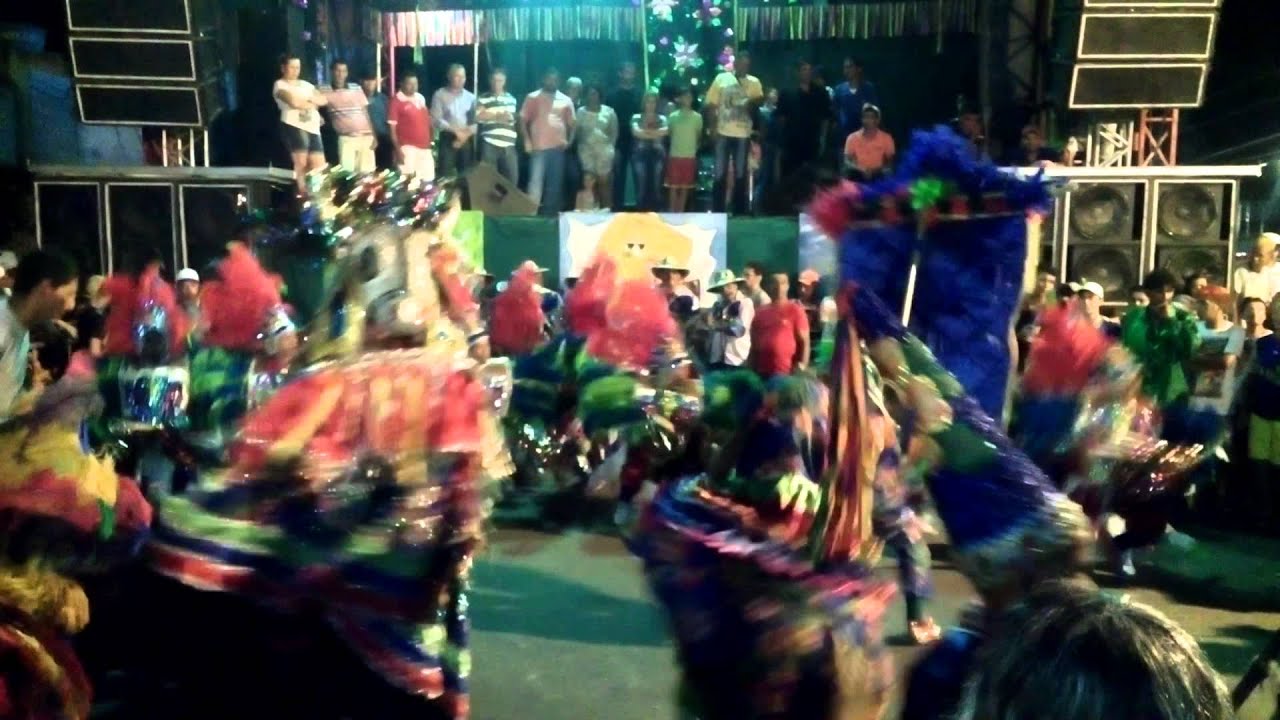 Boi Cara branca 2016