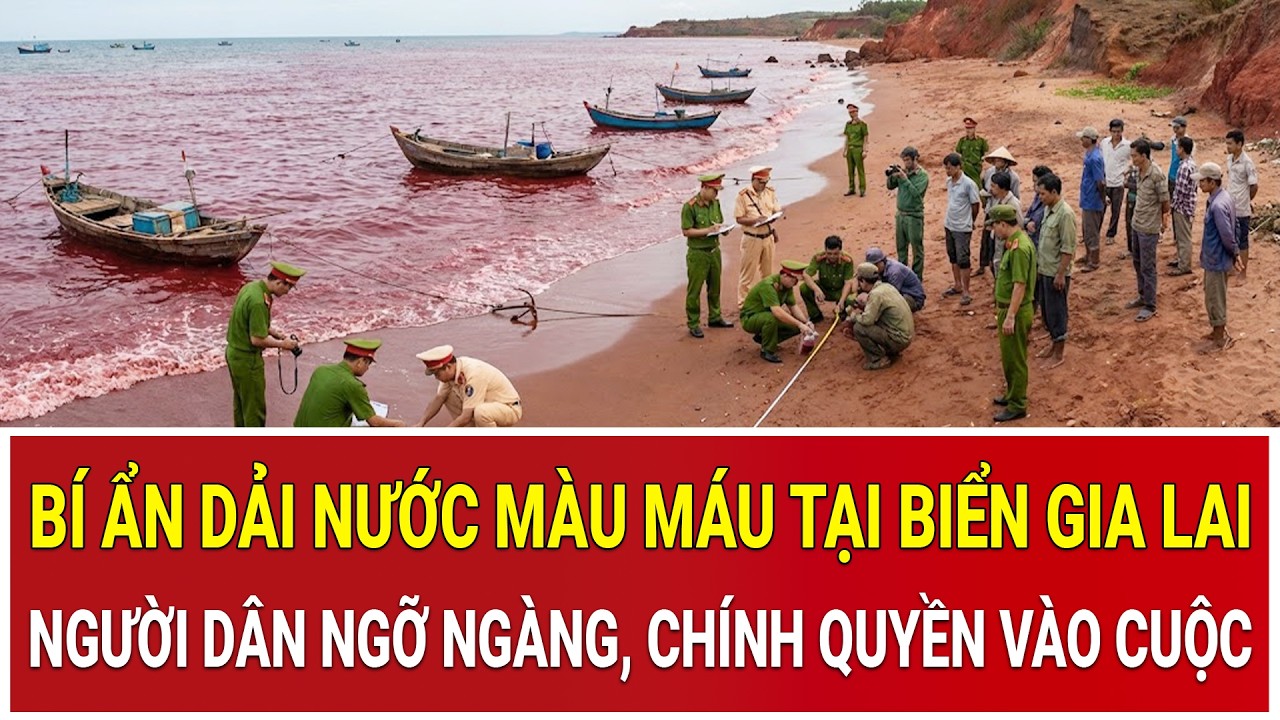Bí ẩn dải nước màu máu tại biển Gia Lai: Người dân ngỡ ngàng, chính quyền vào cuộc khẩn