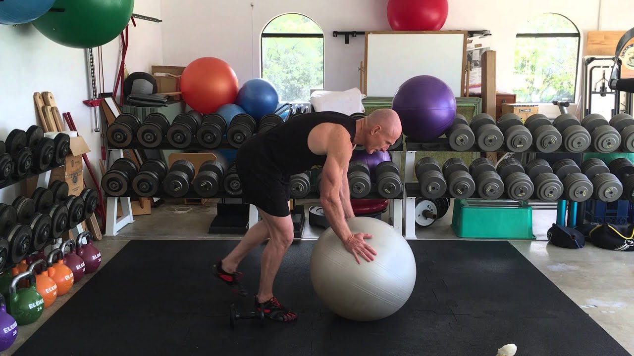 The Reverse Hyperextension Exercise