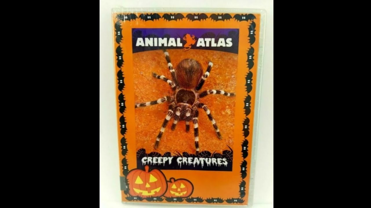 Opening & Closing To Animal Atlas: Creepy Creatures 2010 DVD