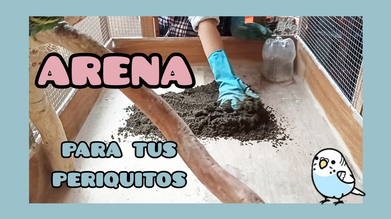 Arena para tu jaula-voladera | Periquitos Australianos