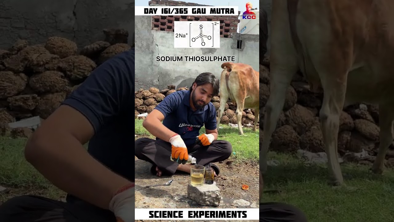 gau mutra and betadine | cow urine experiments #physics #experiment