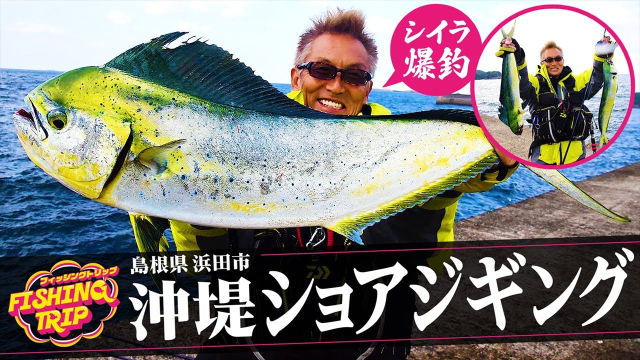 【爆釣】シイラ入れ喰い‼沖堤ショアジギング in 島根県浜田市【フィッシングトリップ】
