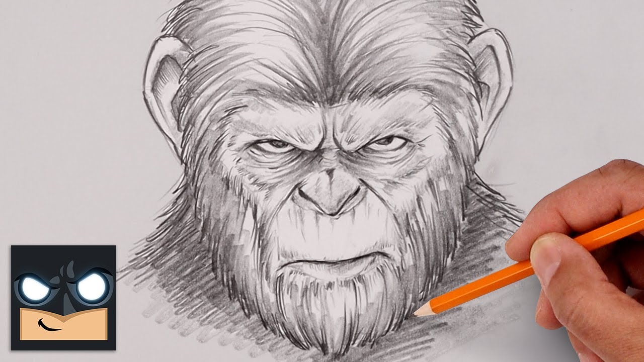 How To Draw Caesar | The Planet of the Apes | 19 Minute Sketch Tutorial