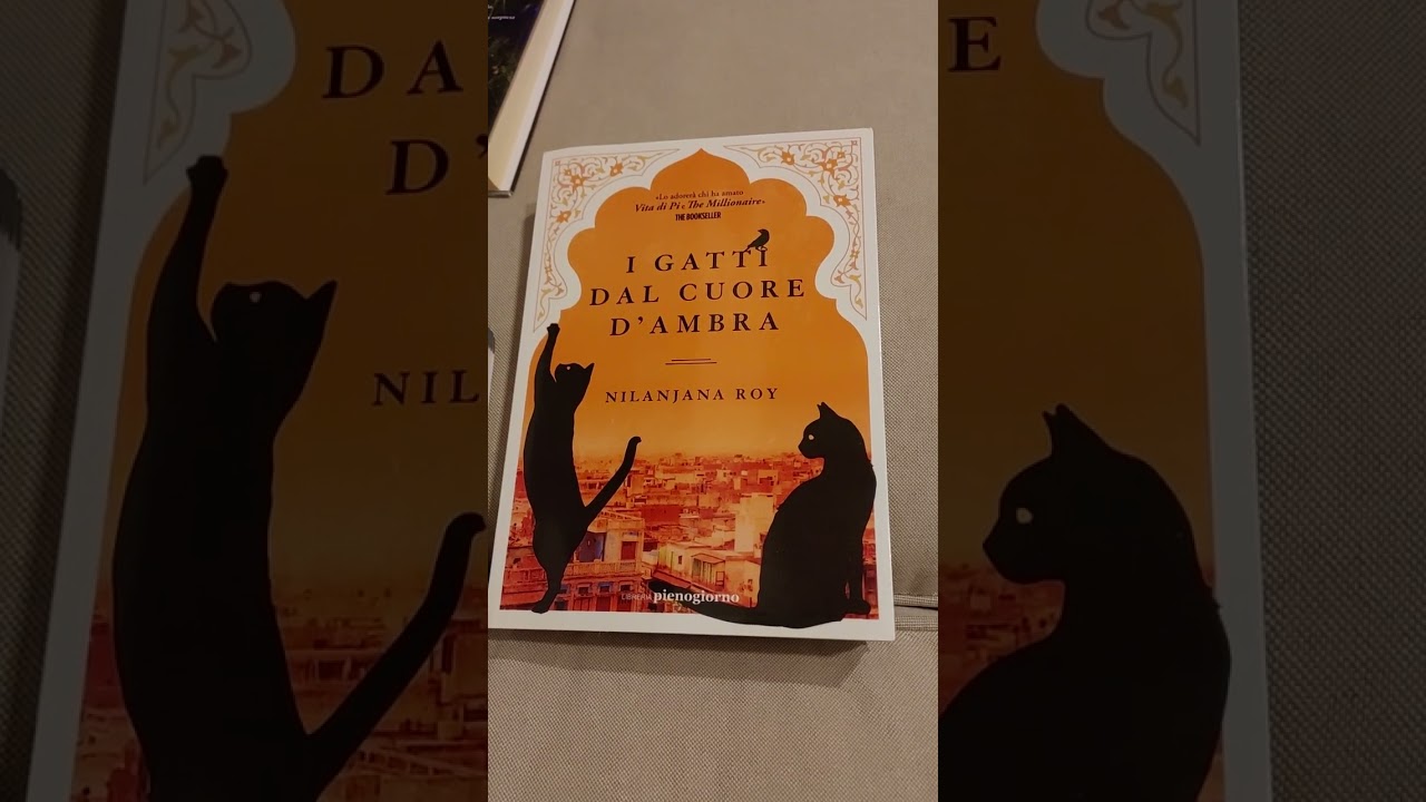 I gatti dal ❤️ d'ambra. 🥰