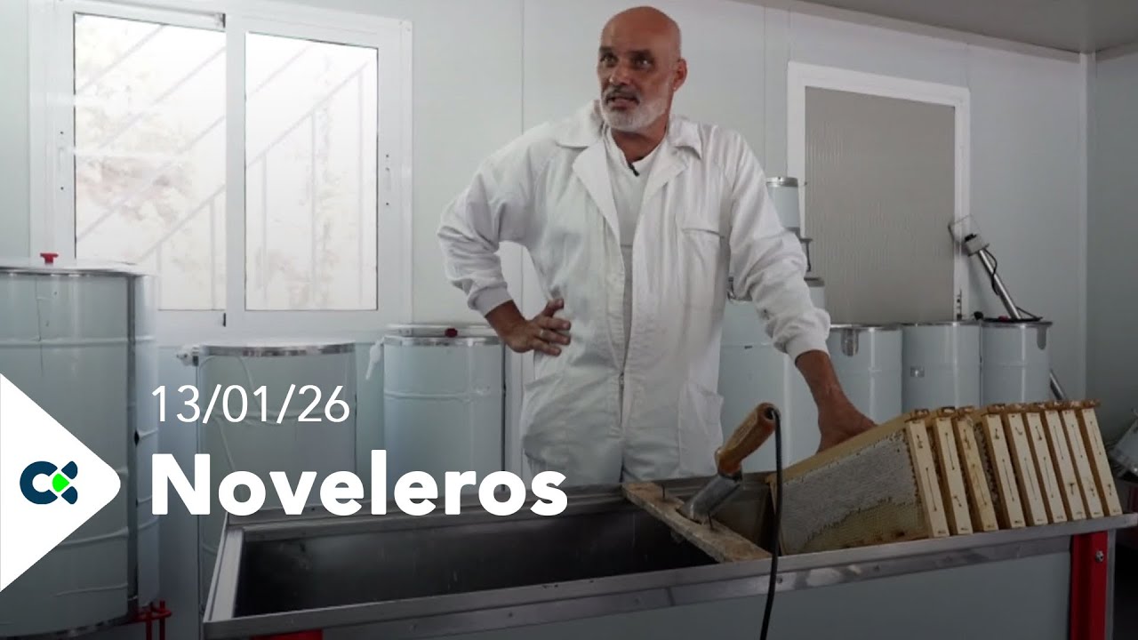 Noveleros | 13/01/26