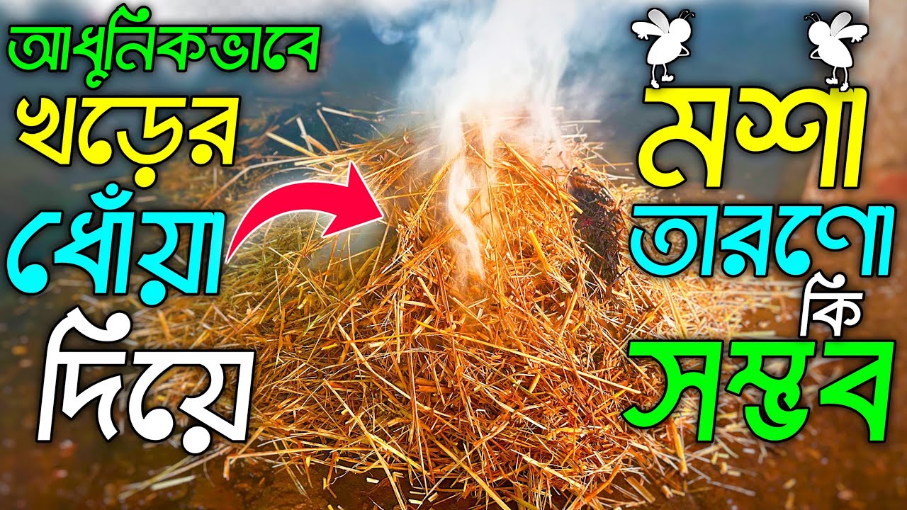 আধুনিকভাবে খড়ের ধোঁয়া দিয়ে মশা তারণ কি সম্ভব 🤔 নিউ মশা মারার ভিডিও 🦟 নিউ মশা মারার টিপস ভিডিও