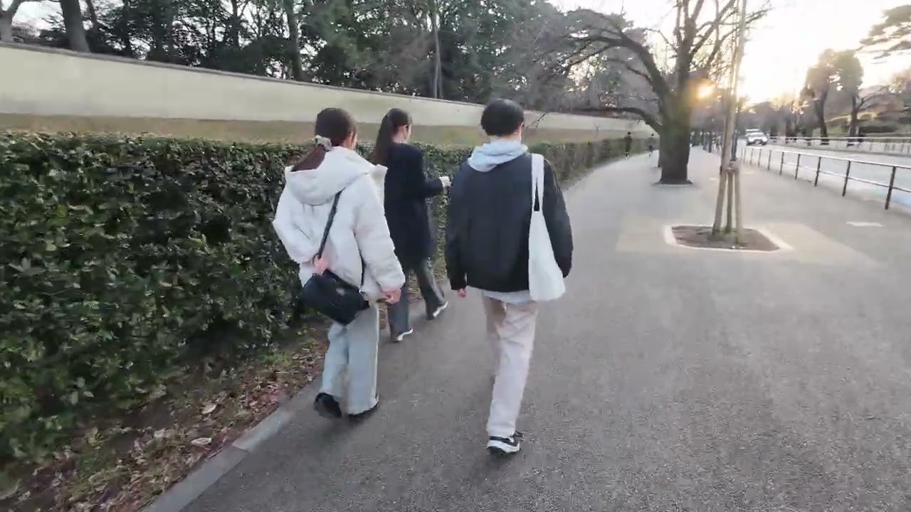 【散歩/東京都千代田区】皇居 Imperial Palace（2026年2月） part2