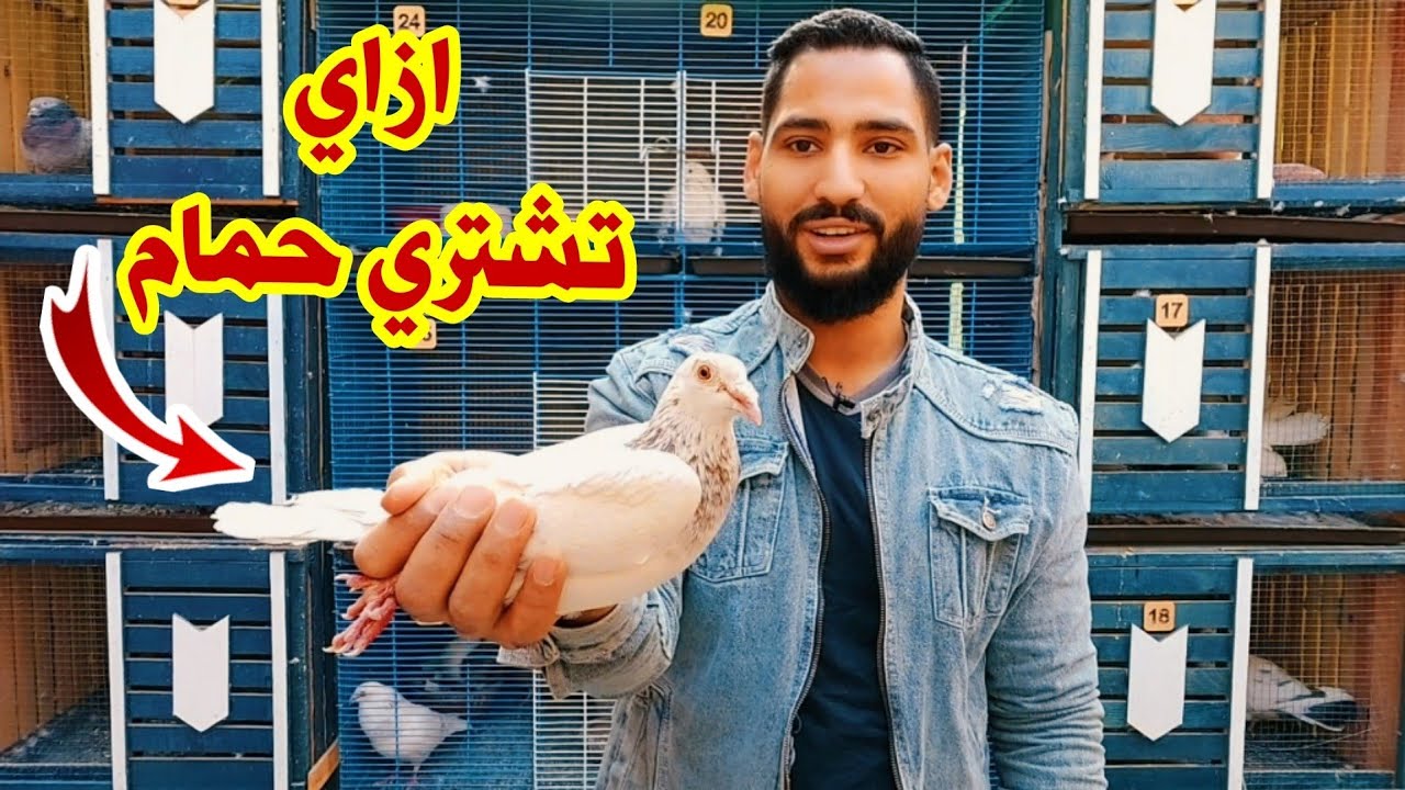 اتعلم ازاي تشتري حمام وازاي تمسك الحمام وتقلبه منغير ما يتنصب عليك
