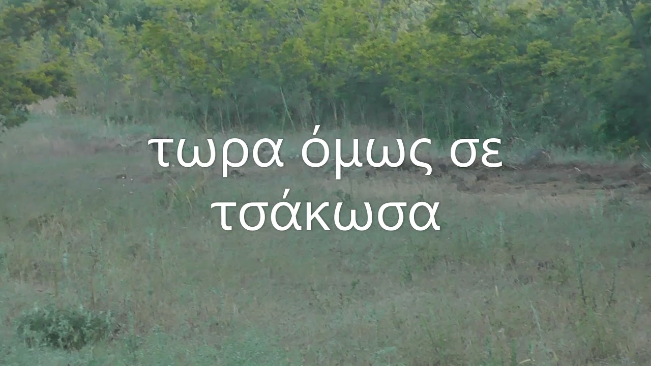 ΚΥΝΗΓΙ ΛΑΓΟΥ ΜΕ POSAVAC