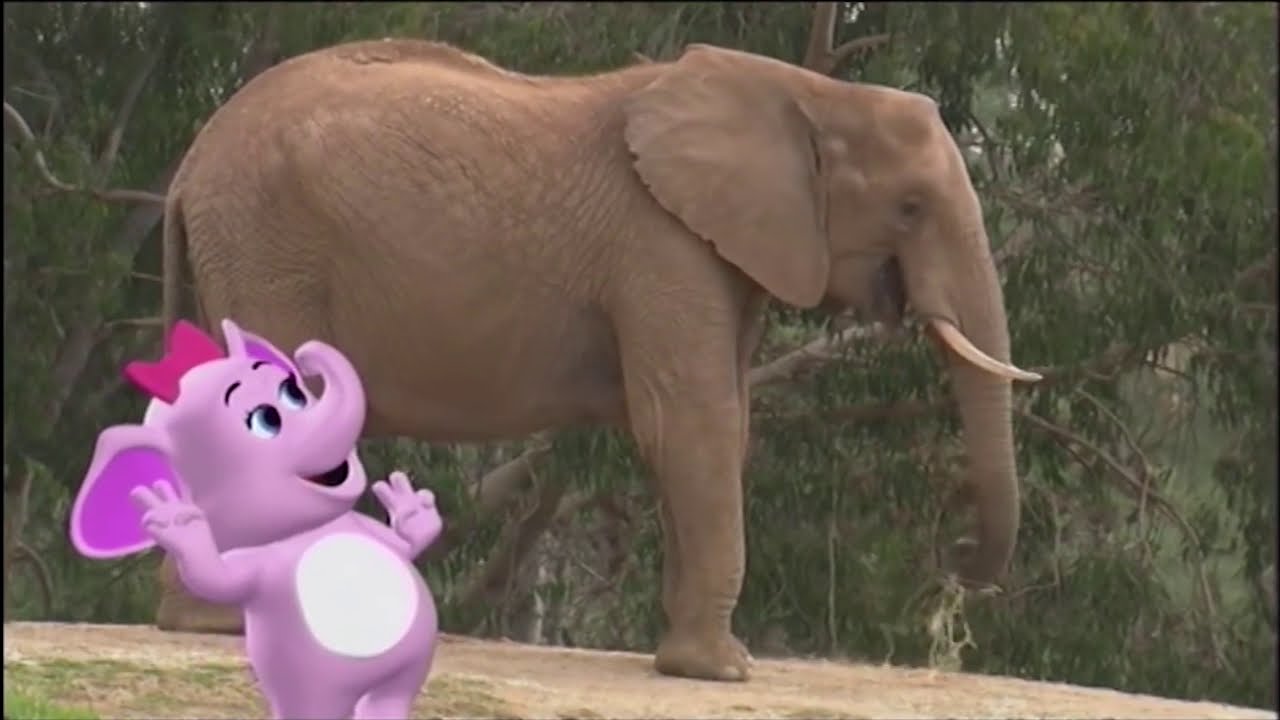 Redone Songs: The Elephant Song!