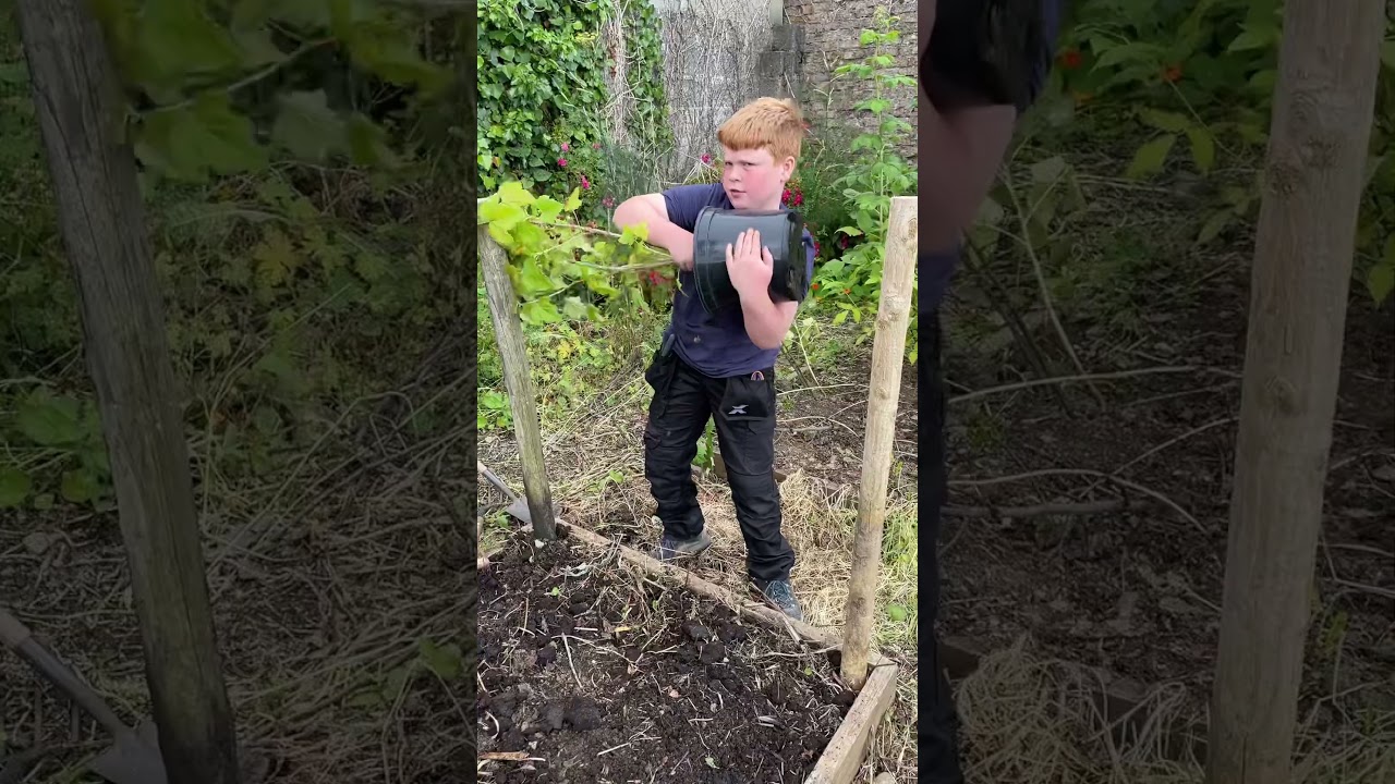 How do you get a big plant out of a big pot?