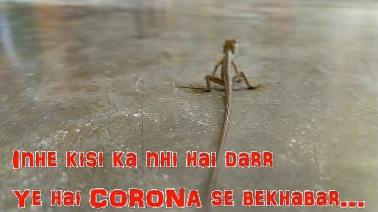 FUNNY CORONA JOKES