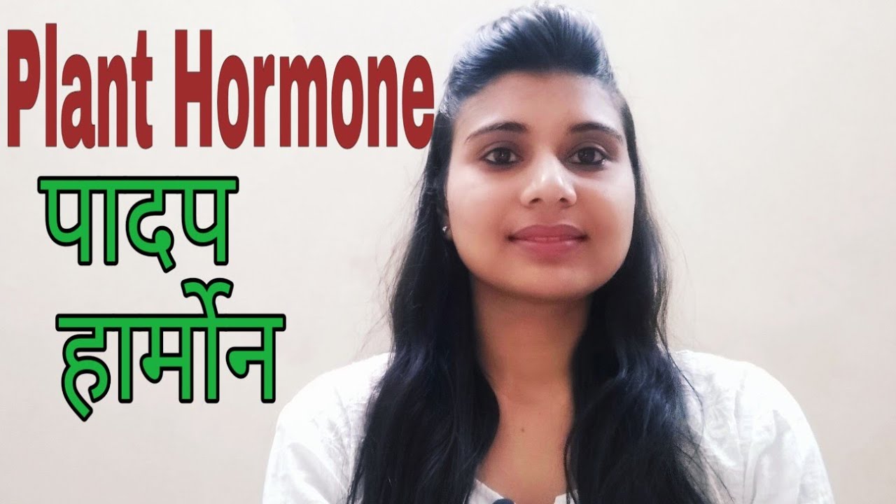 BIOLOGY || Plant Hormone ||पादप हार्मोन