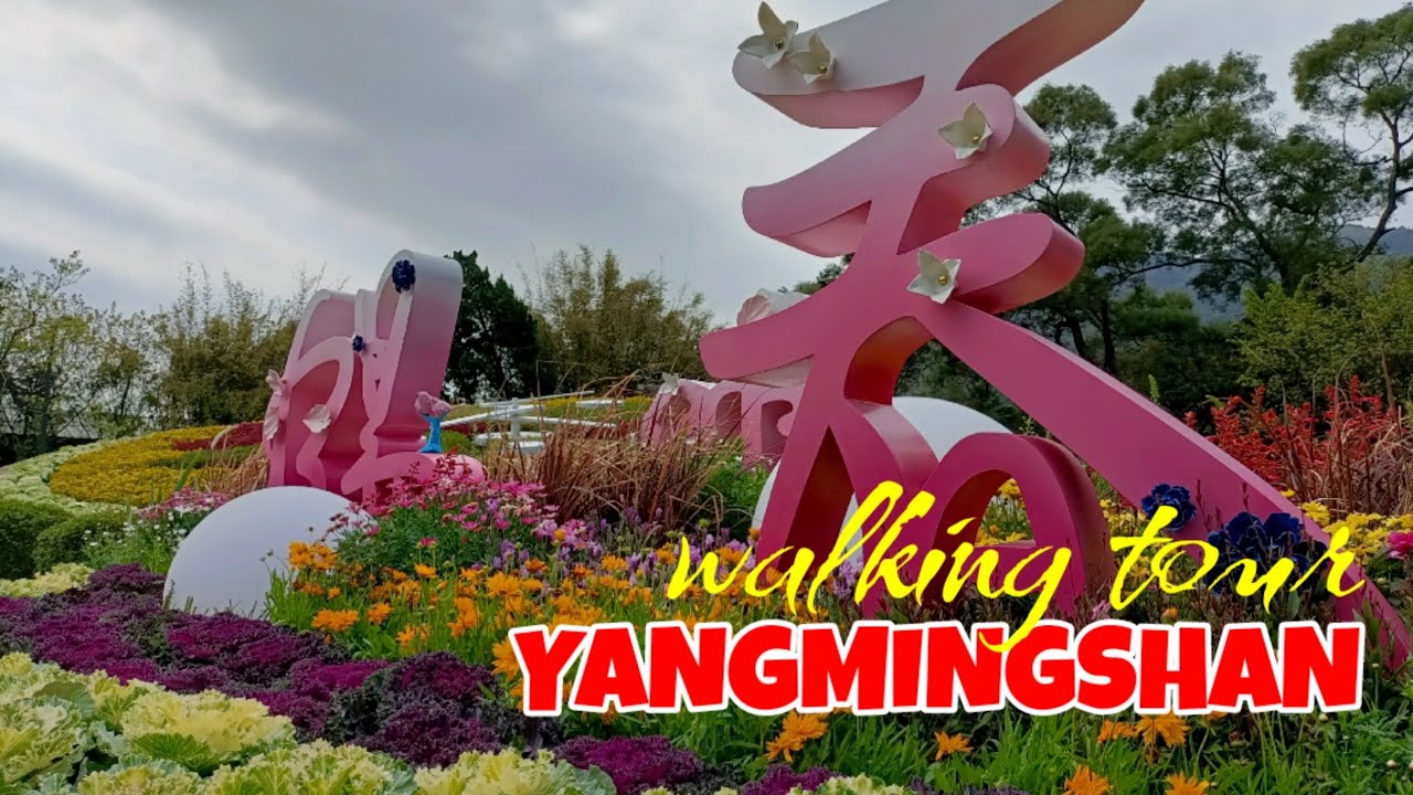YANGMINGSHAN, TAIPEI TAIWAN | WALKING TOUR | @JOHONA