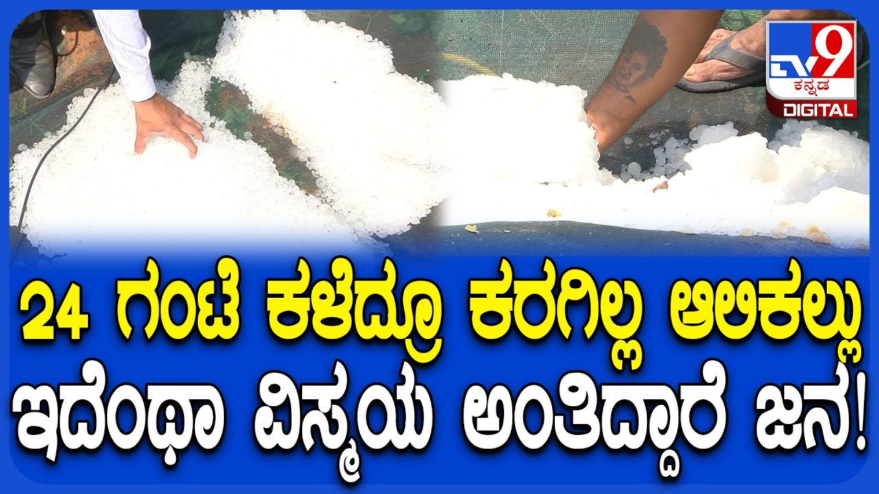 Hailstorm Rain Effect: ಆಲಿಕಲ್ಲು ಮಳೆ ಬಂದು 24 ಗಂಟೆ ಕಳೆದ್ರೂ ಕರಗದ ಆಲಿಕಲ್ಲು.. ಅಚ್ಚರಿಗೆ ಒಳಗಾದ ಜನ| #TV9D