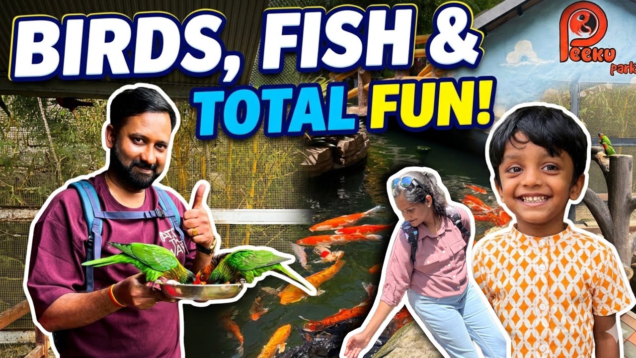 Must visit place in Yercaud 🔥| Peeku park & Boating 🛶 | Fun Vlog #yercaud #fun #vlog #travel 
