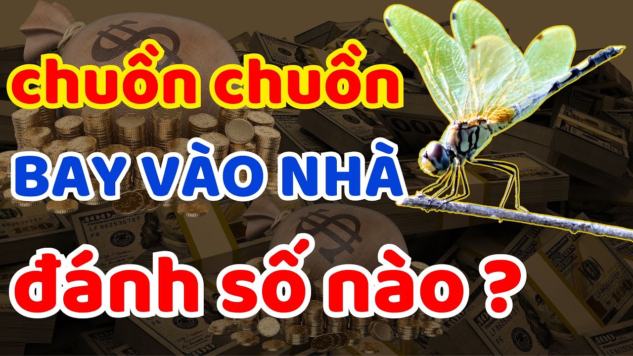 chuồn chuồn tự nhiên bay vào nhà đánh số nào cho trúng số