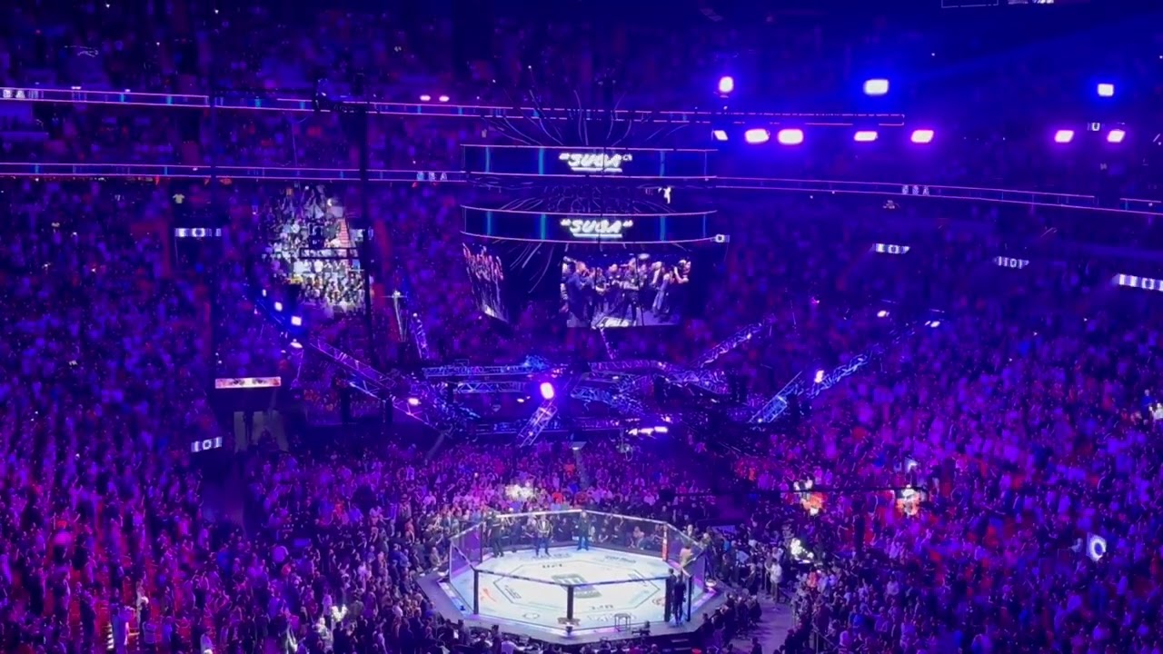 UFC 299 