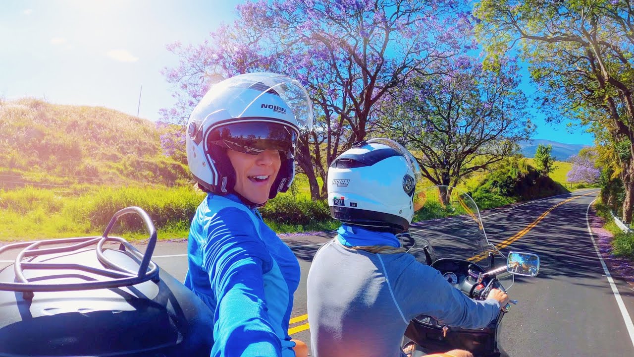 Suzuki Burgman 400 - Jacaranda tree ride on Maui | Mitch's Scooter Stuff