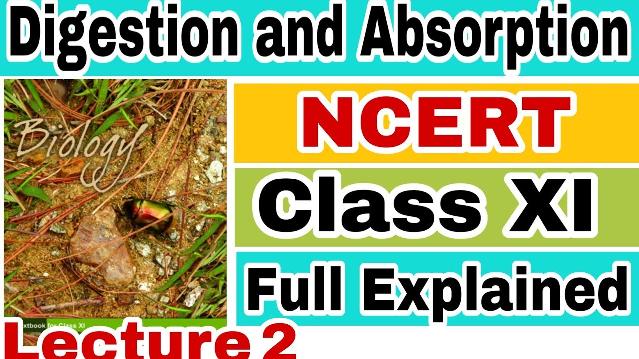 NCERT CH-16 DIGESTION AND ABSORPTION (HUMAN PHYSIOLOGY) Biology LECTURE 2 FOR NEET/AIIMS
