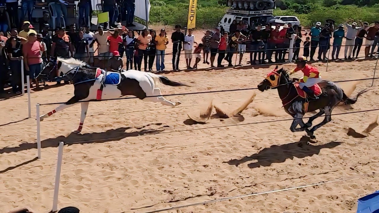 Festa do Vaqueiro Santa Cruz da Venerada [2024] Corrida de Cavalos