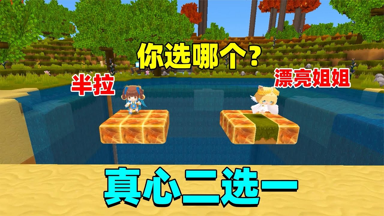 迷你世界：真心二选一测试！半拉和你最喜欢的东西，你会怎么选？