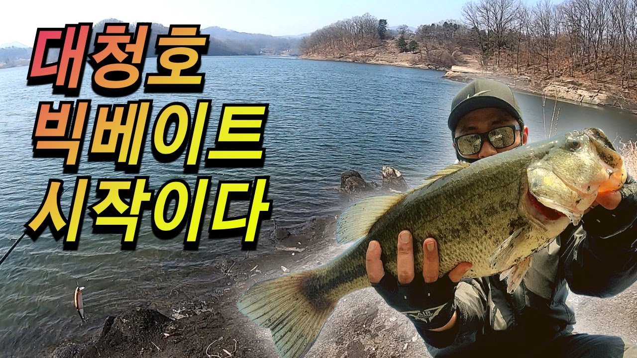 지금 빅베이트 잘 물어주는 포인트 #대청호  #빅베이트 #배스낚시