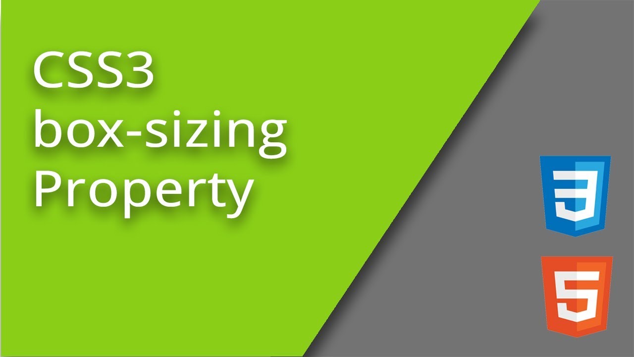 CSS3 box-sizing Property