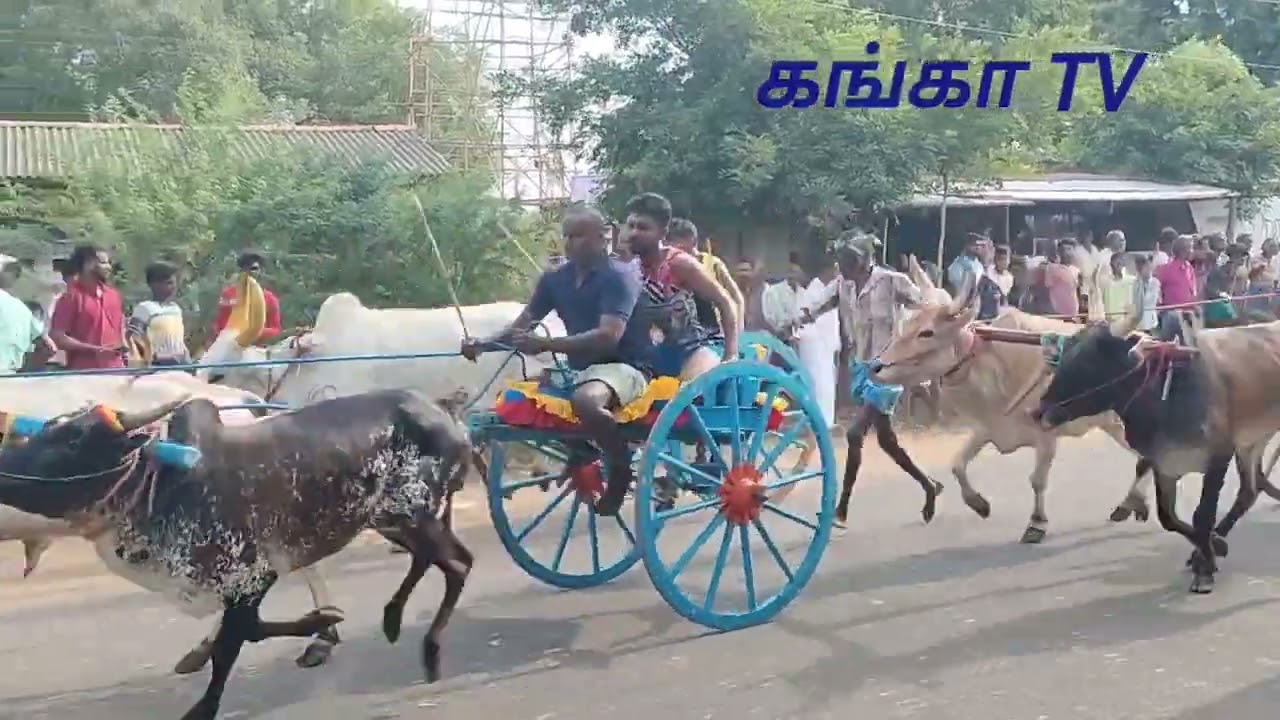 K,புதுப்பட்டி மண்ணில் சீறிப் பாய்ந்த பந்தயக் காளைகள்