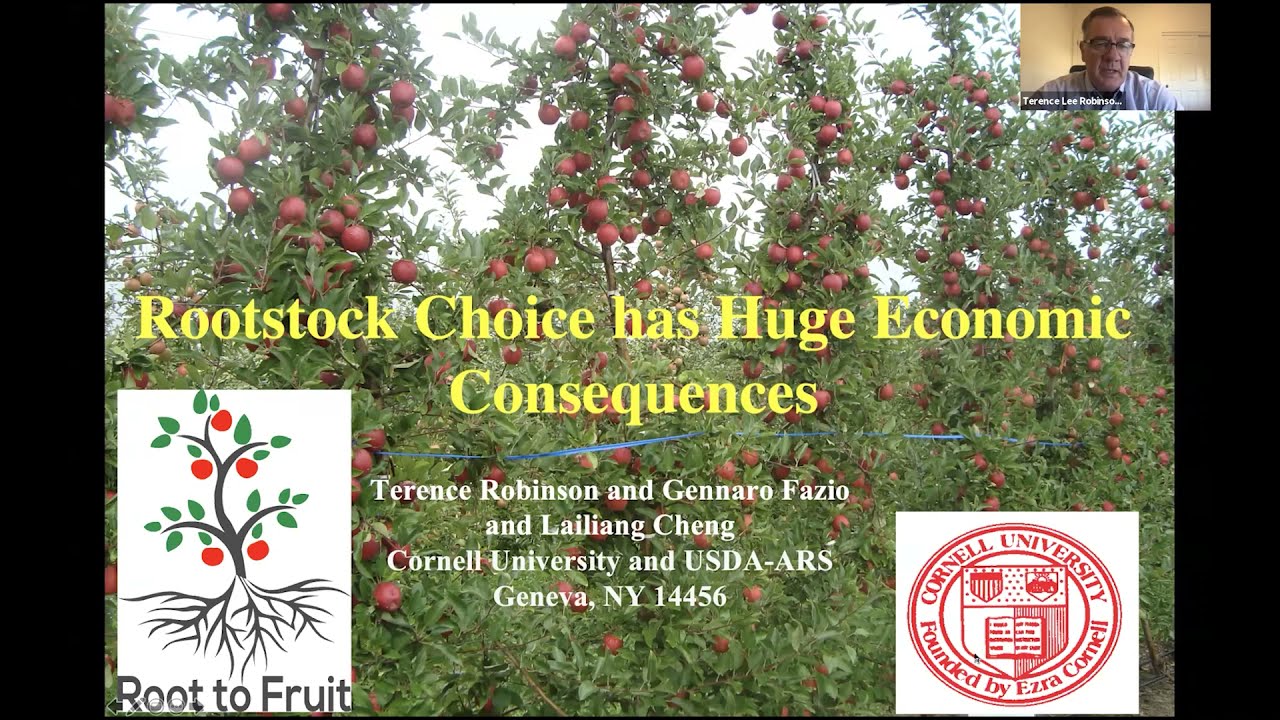 Honeycrisp Virtual Meetup - Rootstocks 1/5