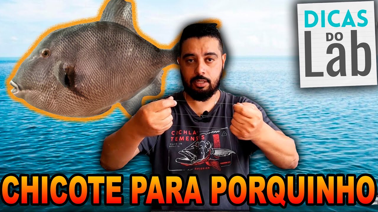 CHICOTE PARA PESCAR PORQUINHO 🎣 - Dicas do Lab 144