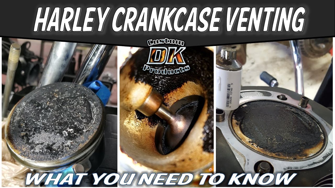 Your Harley Will Love This Mod!  Runs Cooler Too!