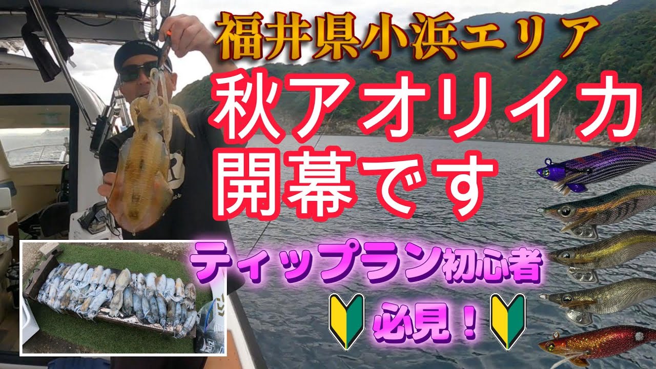 【小浜ティップラン】ティップラン初心者が友人のプレジャーボートで小浜マリーナから出撃。