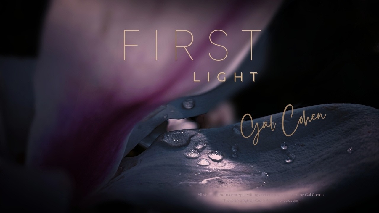 FIRST LIGHT — 10 Minutes That May Change Your Morning | Calm Breath Space ZEN Garden