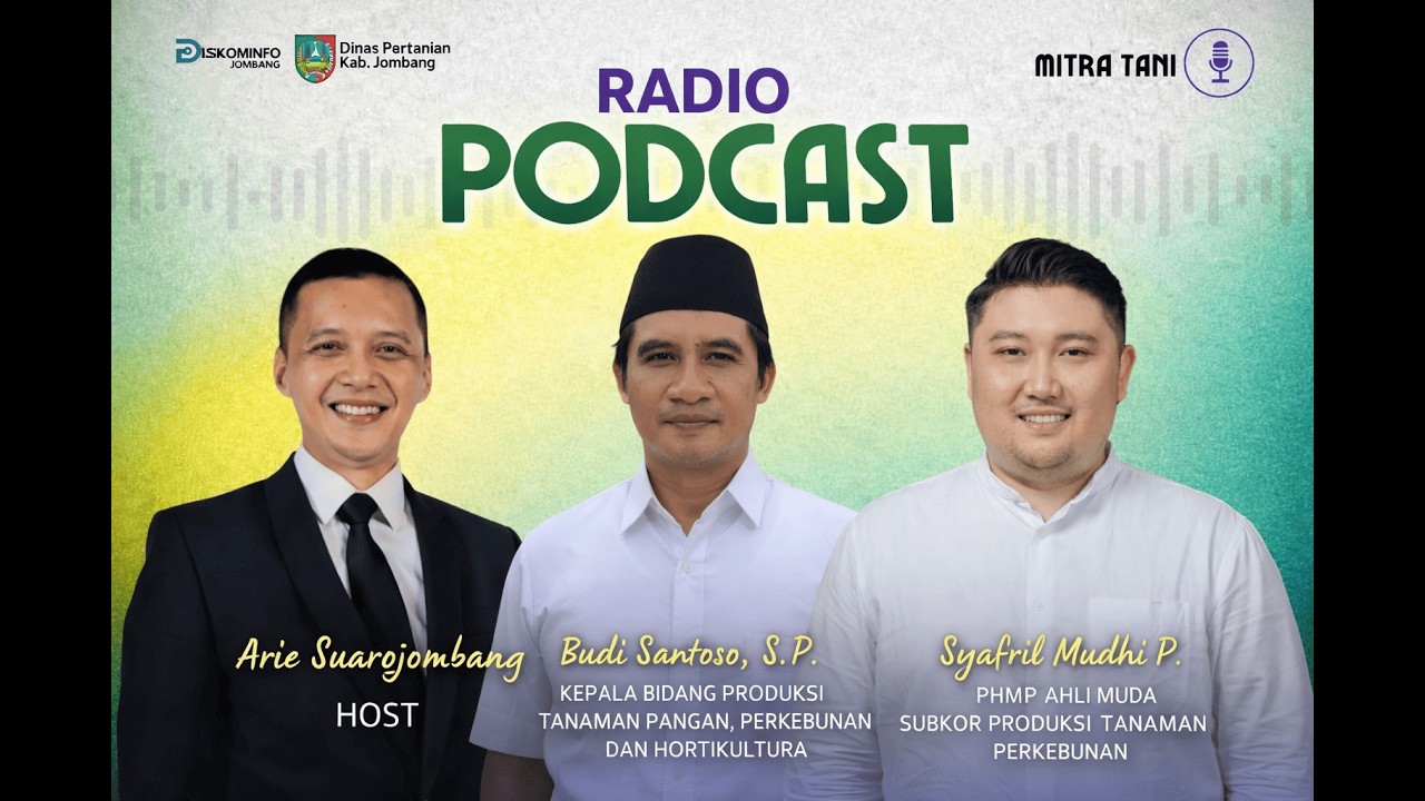 Emas Hijau Tembakau dan Manis Cuan Bongkar Ratoon Tebu