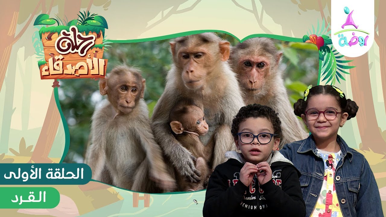 رحلة الأصدقاء رنا ومحمد إلى الغابة 🌳 (للتعرف على القرد) 🐒 | قناة روضة للأطفال