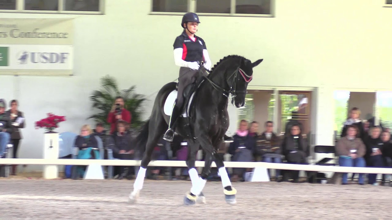 Johann Hinnemann: You Must be Able to Ride ALL Grand Prix Dressage Movements Well