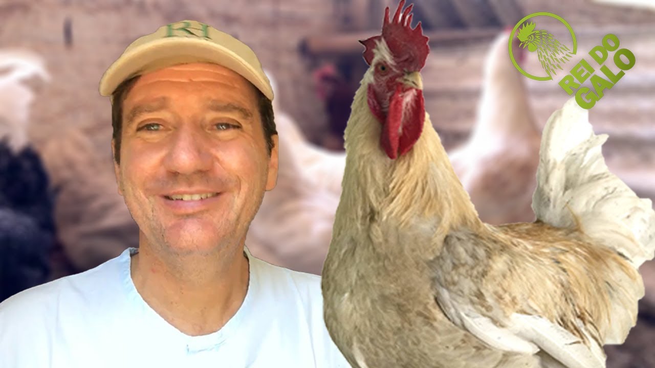 Tudo sobre a Anma | Mario Salviato #01
