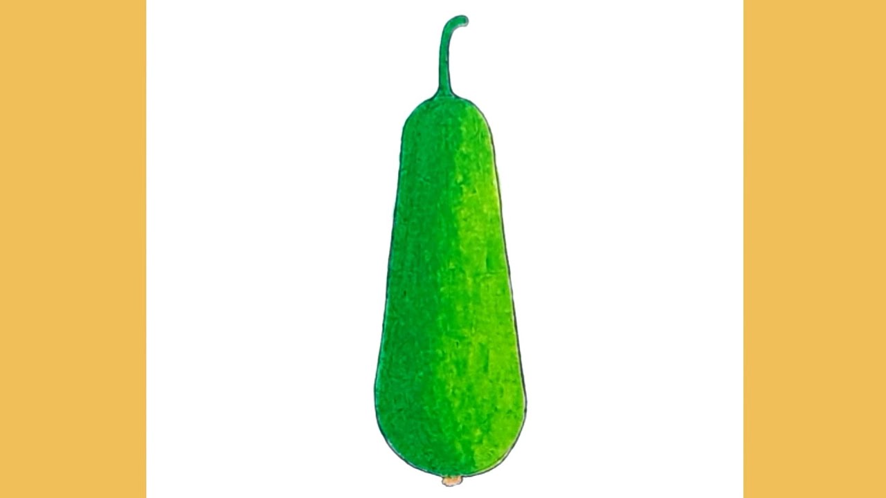 How to draw Bottle gourd