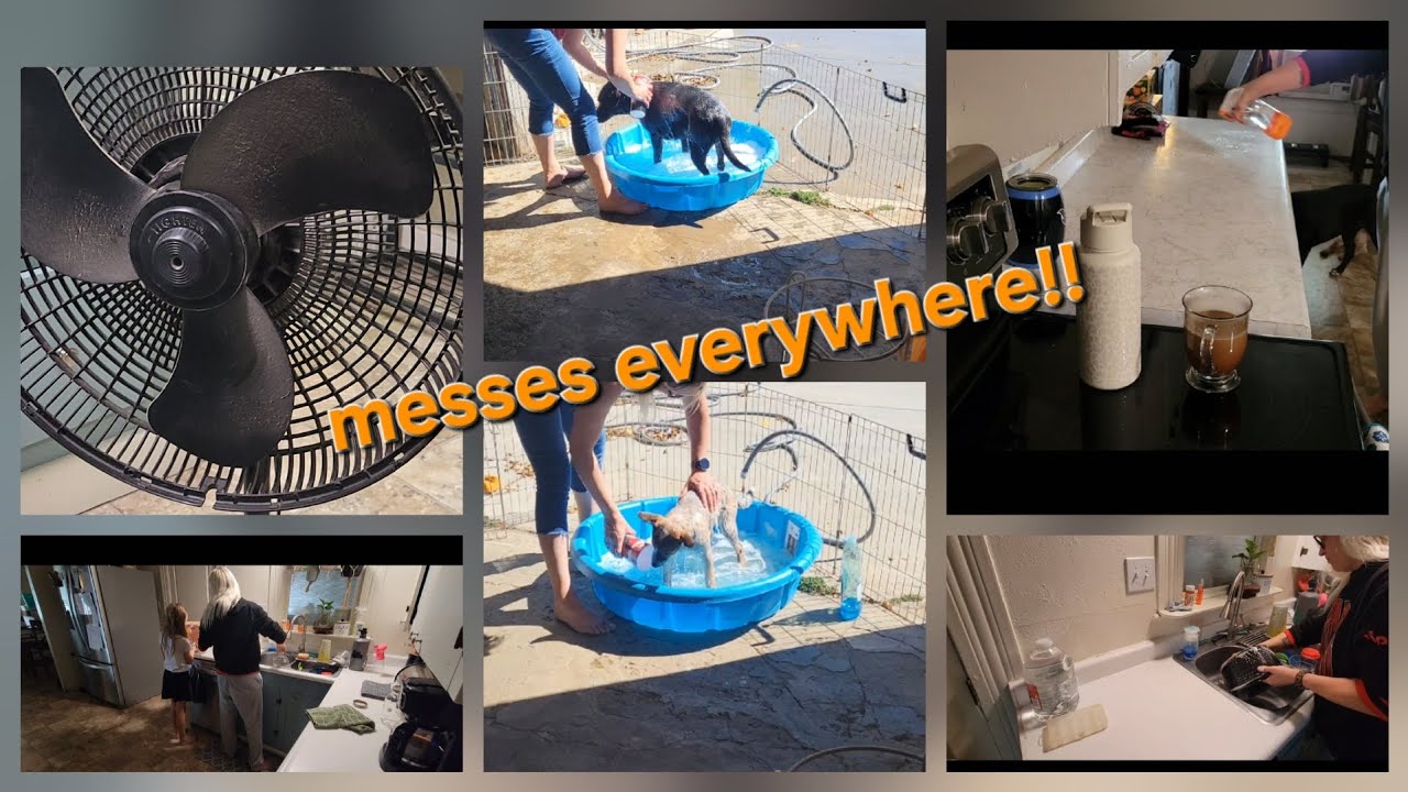 Productive Cleaning Day | Dog Bath + Kitchen & More